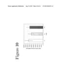 RECOMBINANT VIRUS PRODUCTION USING MAMMALIAN CELLS IN SUSPENSION diagram and image