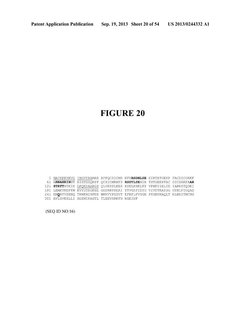 TAREGTED INTEGRATION AND EXPRESSION OF EXOGENOUS NUCLEIC ACID SEQUENCES - diagram, schematic, and image 21