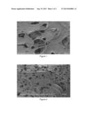 COMPOSITE CATALYTIC MEMBRANE APPLIED TO CATALYTIC ESTERIFICATION AND     PREPARATION METHOD THEREOF diagram and image