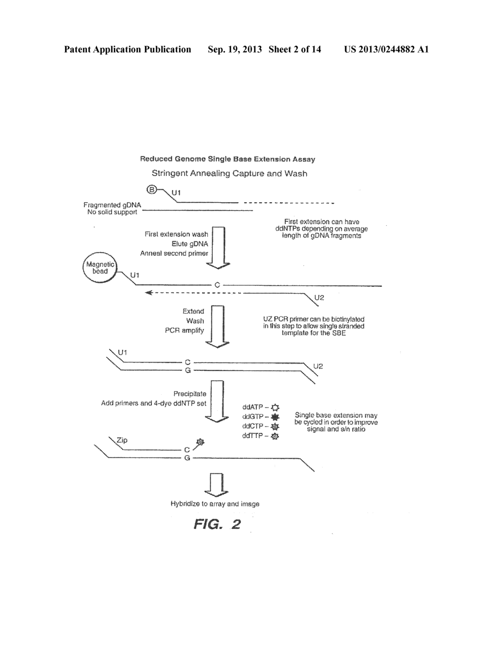 MULTIPLEX NUCLEIC ACID REACTIONS - diagram, schematic, and image 03