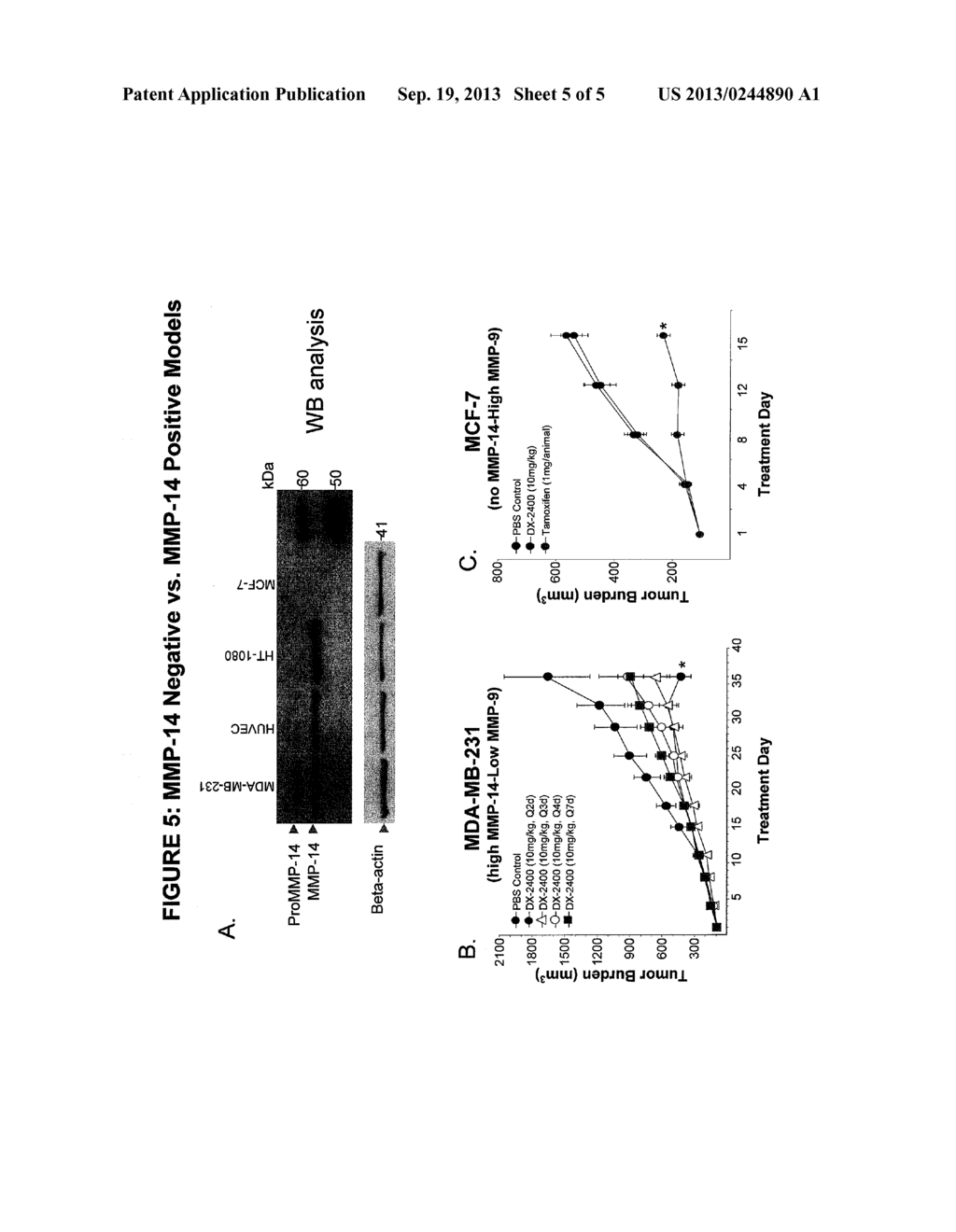 EVALUATING MMP EXPRESSION IN PATIENT STRATIFICATION AND OTHER THERAPEUTIC,     DIAGNOSTIC AND PROGNOSTIC METHODS FOR CANCER - diagram, schematic, and image 06