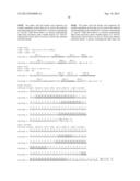 EVALUATING MMP EXPRESSION IN PATIENT STRATIFICATION AND OTHER THERAPEUTIC,     DIAGNOSTIC AND PROGNOSTIC METHODS FOR CANCER diagram and image