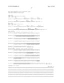 EVALUATING MMP EXPRESSION IN PATIENT STRATIFICATION AND OTHER THERAPEUTIC,     DIAGNOSTIC AND PROGNOSTIC METHODS FOR CANCER diagram and image