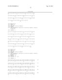 EVALUATING MMP EXPRESSION IN PATIENT STRATIFICATION AND OTHER THERAPEUTIC,     DIAGNOSTIC AND PROGNOSTIC METHODS FOR CANCER diagram and image