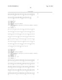 EVALUATING MMP EXPRESSION IN PATIENT STRATIFICATION AND OTHER THERAPEUTIC,     DIAGNOSTIC AND PROGNOSTIC METHODS FOR CANCER diagram and image