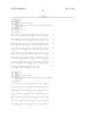 EVALUATING MMP EXPRESSION IN PATIENT STRATIFICATION AND OTHER THERAPEUTIC,     DIAGNOSTIC AND PROGNOSTIC METHODS FOR CANCER diagram and image