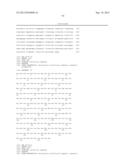 EVALUATING MMP EXPRESSION IN PATIENT STRATIFICATION AND OTHER THERAPEUTIC,     DIAGNOSTIC AND PROGNOSTIC METHODS FOR CANCER diagram and image