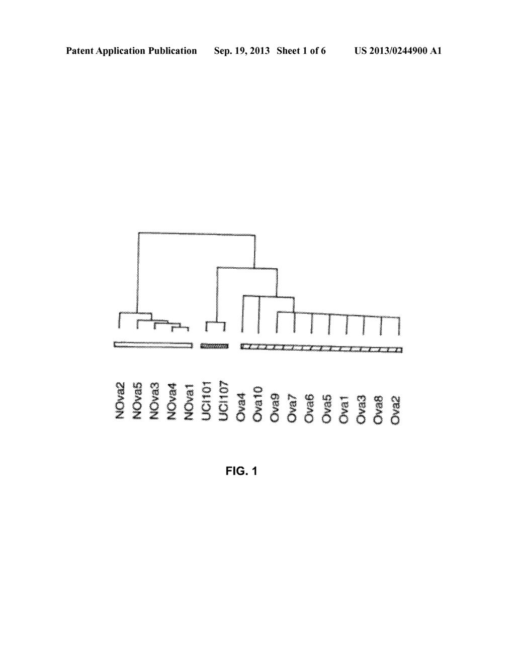 Gene Expression Profiling in Primary Ovarian Serous Papiliary Tumors and     Normal Ovarian Epithelum - diagram, schematic, and image 02