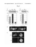 MODULATORS OF ALPHA-SYNUCLEIN TOXICITY diagram and image