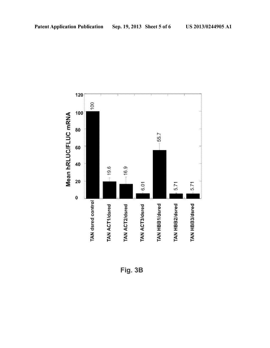 Reporter for RNA Polymerase II Termination - diagram, schematic, and image 06