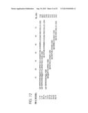 ANTIMICROBIAL PEPTIDES AND DERIVED METAPEPTIDES diagram and image