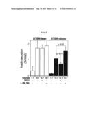 E-PROSTANOID RECEPTOR, PTGER3, AS A NOVEL ANTI-DIABETIC THERAPEUTIC TARGET diagram and image