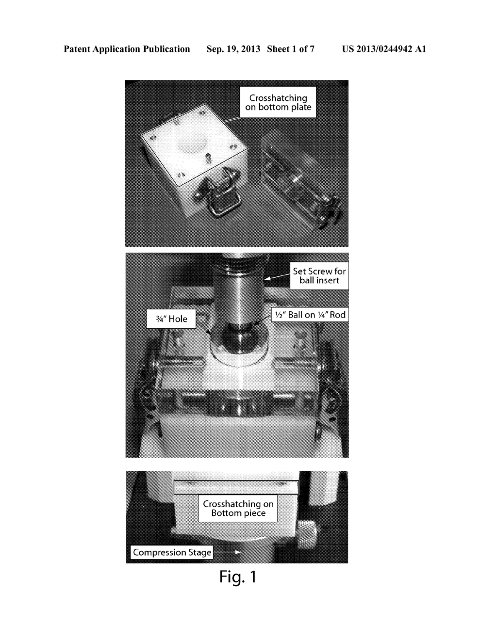 IMPLANTABLE MATERIALS FOR BONE REPAIR - diagram, schematic, and image 02