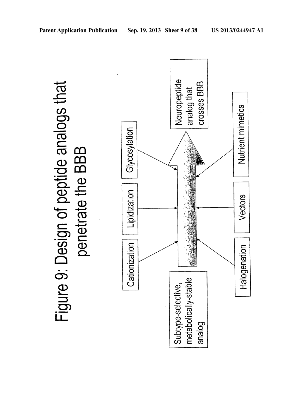 METHODS AND COMPOSITIONS RELATED TO IMPROVING PROPERTIES OF     PHARMACOLOGICAL AGENTS TARGETING NERVOUS SYSTEM - diagram, schematic, and image 10