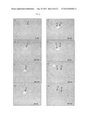 COMPOSITIONS OF CELLS, MEDIA, AND METHODS THEREOF diagram and image