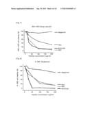 NOVEL ANTICANCER AGENTS COMPRISING PEPTIDES WITH CANCER-SPECIFIC TOXICITY diagram and image