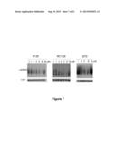 BICYCLIC AND TRICYCLIC INHIBITORS OF SUMOYLATION ENZYMES AND METHODS OF     THEIR USE diagram and image