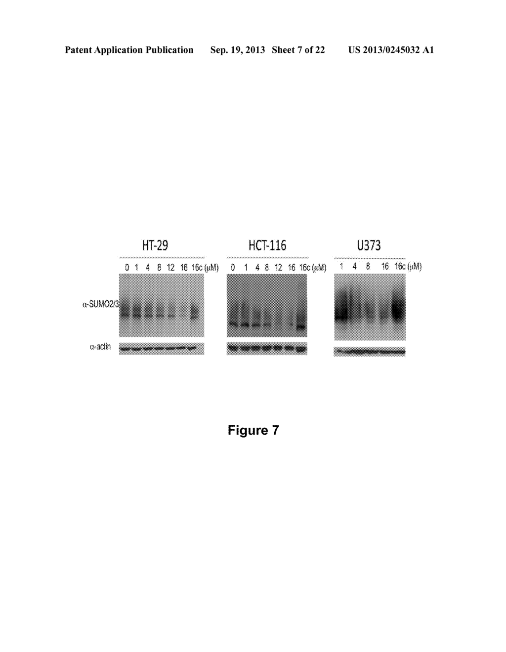 BICYCLIC AND TRICYCLIC INHIBITORS OF SUMOYLATION ENZYMES AND METHODS OF     THEIR USE - diagram, schematic, and image 08