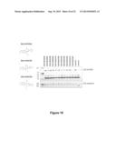 BICYCLIC AND TRICYCLIC INHIBITORS OF SUMOYLATION ENZYMES AND METHODS OF     THEIR USE diagram and image