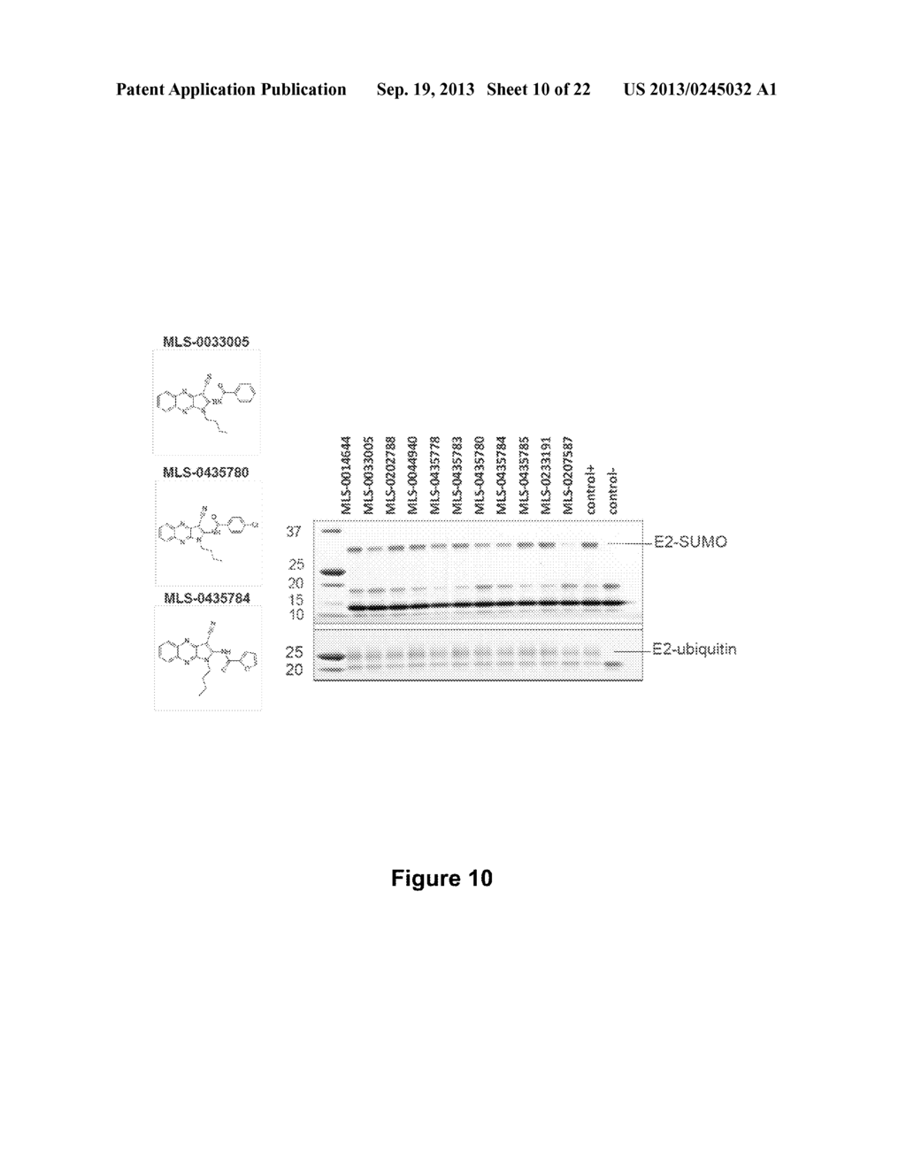 BICYCLIC AND TRICYCLIC INHIBITORS OF SUMOYLATION ENZYMES AND METHODS OF     THEIR USE - diagram, schematic, and image 11