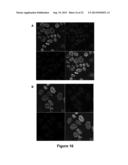 BICYCLIC AND TRICYCLIC INHIBITORS OF SUMOYLATION ENZYMES AND METHODS OF     THEIR USE diagram and image