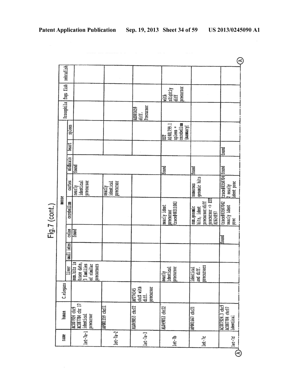 IDENTIFICATION OF NOVEL GENES CODING FOR SMALL TEMPORAL RNAS - diagram, schematic, and image 35