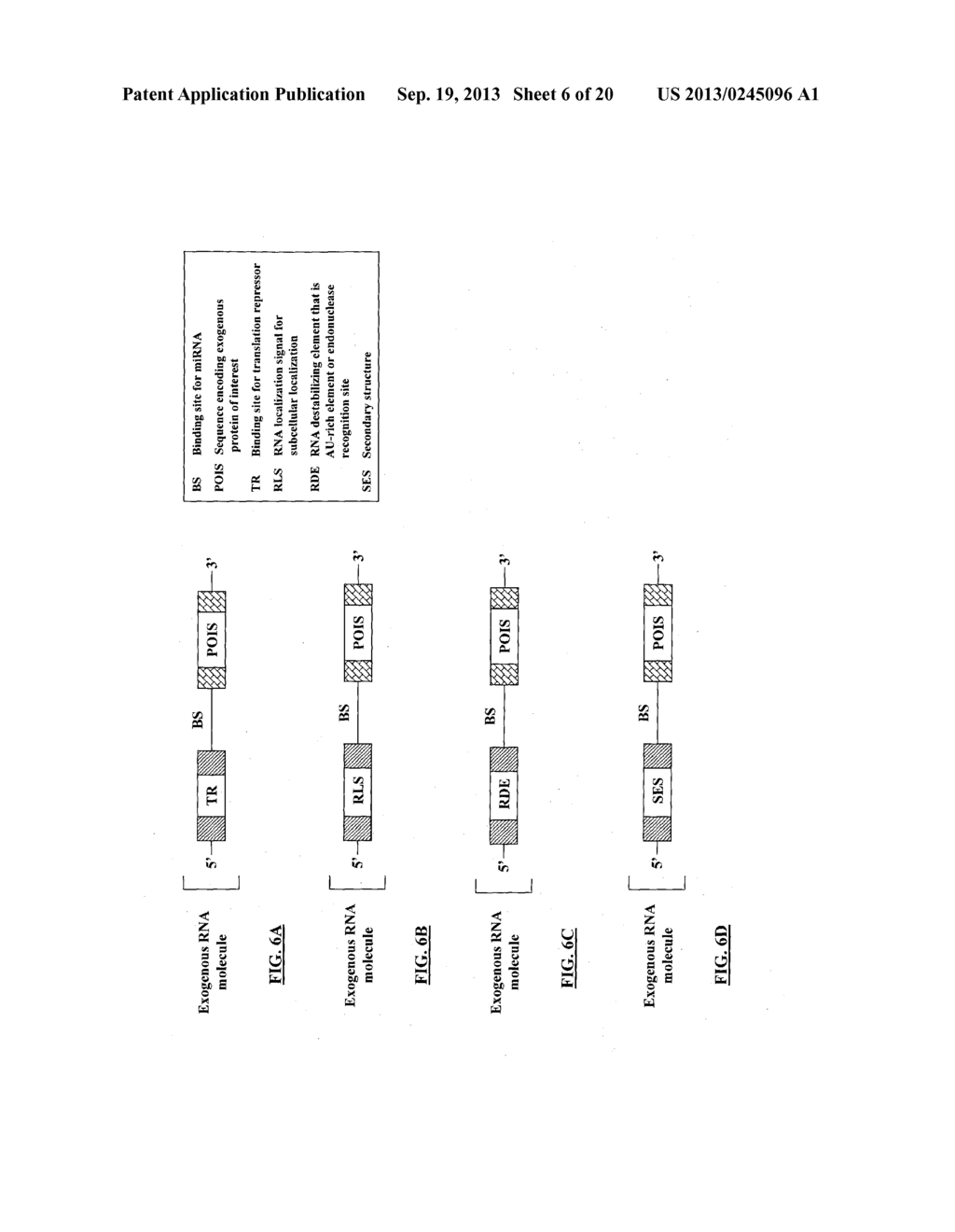 COMPOSITIONS AND METHODS FOR ACTIVATING EXPRESSION BY A SPECIFIC     ENDOGENOUS miRNA - diagram, schematic, and image 07