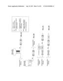 COMPOSITIONS AND METHODS FOR ACTIVATING EXPRESSION BY A SPECIFIC     ENDOGENOUS miRNA diagram and image