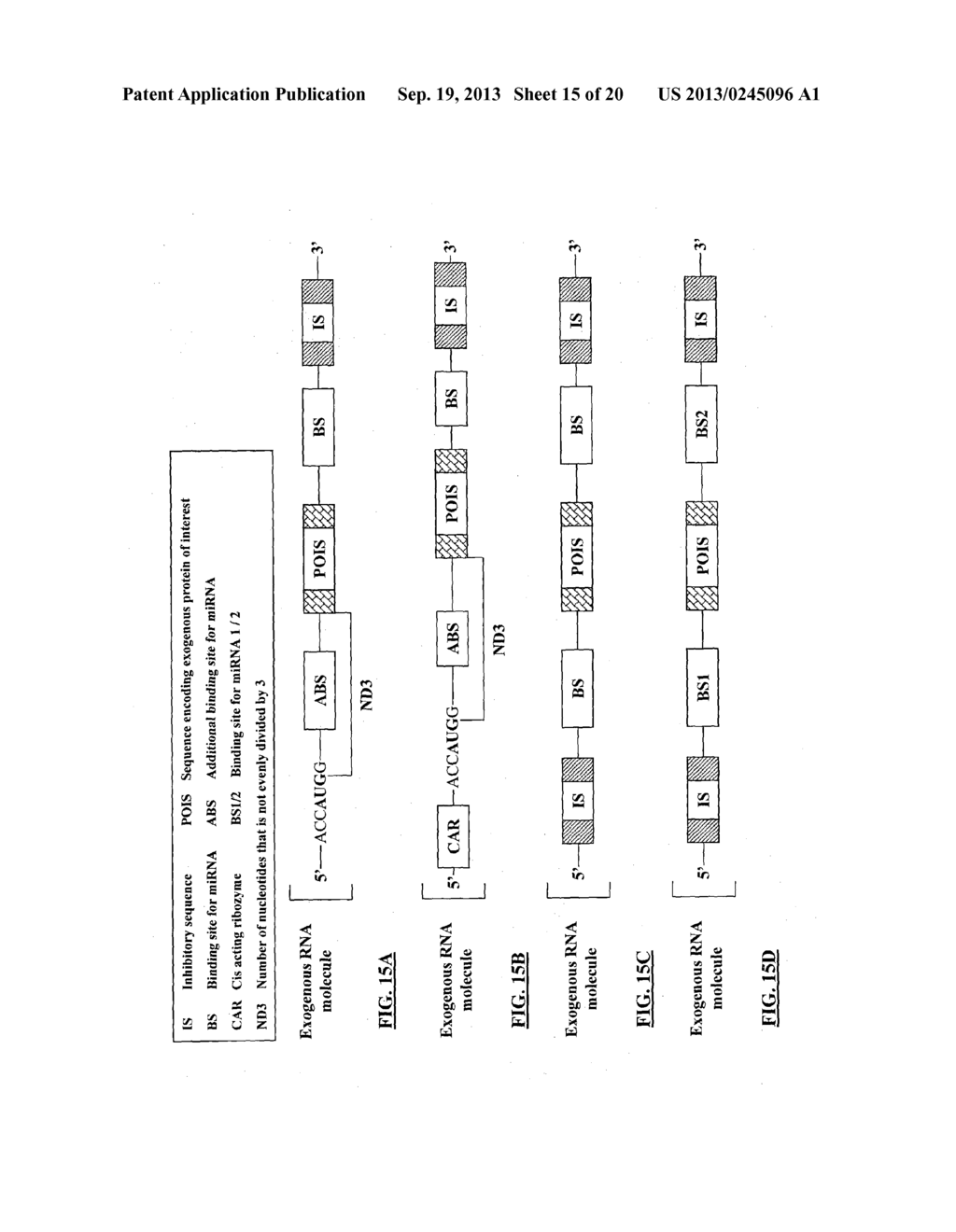 COMPOSITIONS AND METHODS FOR ACTIVATING EXPRESSION BY A SPECIFIC     ENDOGENOUS miRNA - diagram, schematic, and image 16