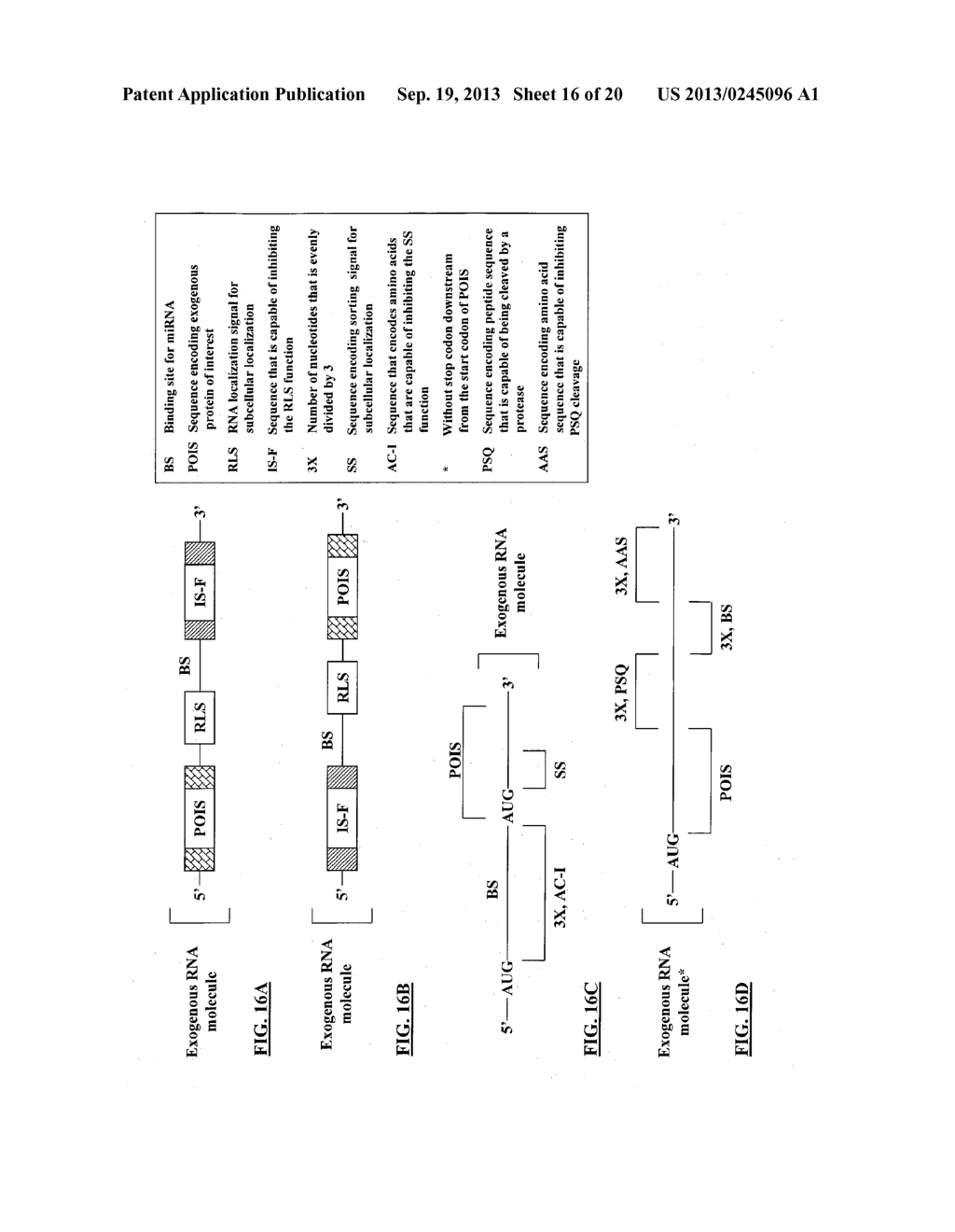 COMPOSITIONS AND METHODS FOR ACTIVATING EXPRESSION BY A SPECIFIC     ENDOGENOUS miRNA - diagram, schematic, and image 17