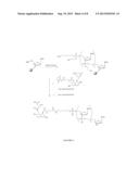 Liver Targeted Conjugates diagram and image