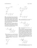 Liver Targeted Conjugates diagram and image