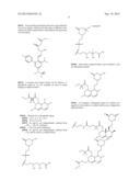 Liver Targeted Conjugates diagram and image