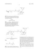 Liver Targeted Conjugates diagram and image