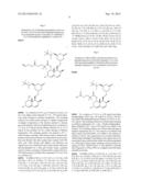 Liver Targeted Conjugates diagram and image