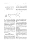 Liver Targeted Conjugates diagram and image