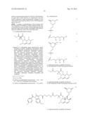 Liver Targeted Conjugates diagram and image