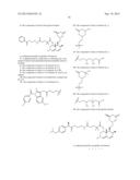 Liver Targeted Conjugates diagram and image