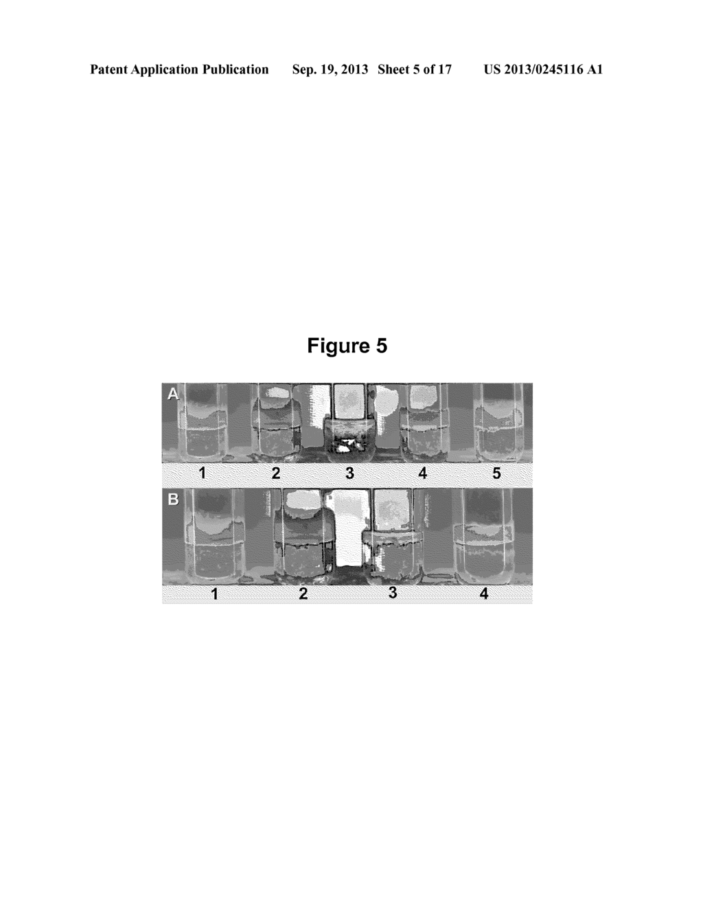 COMPOSITIONS AND METHODS FOR THE DISRUPTION OF MYCOBACTERIUM BIOFILM - diagram, schematic, and image 06