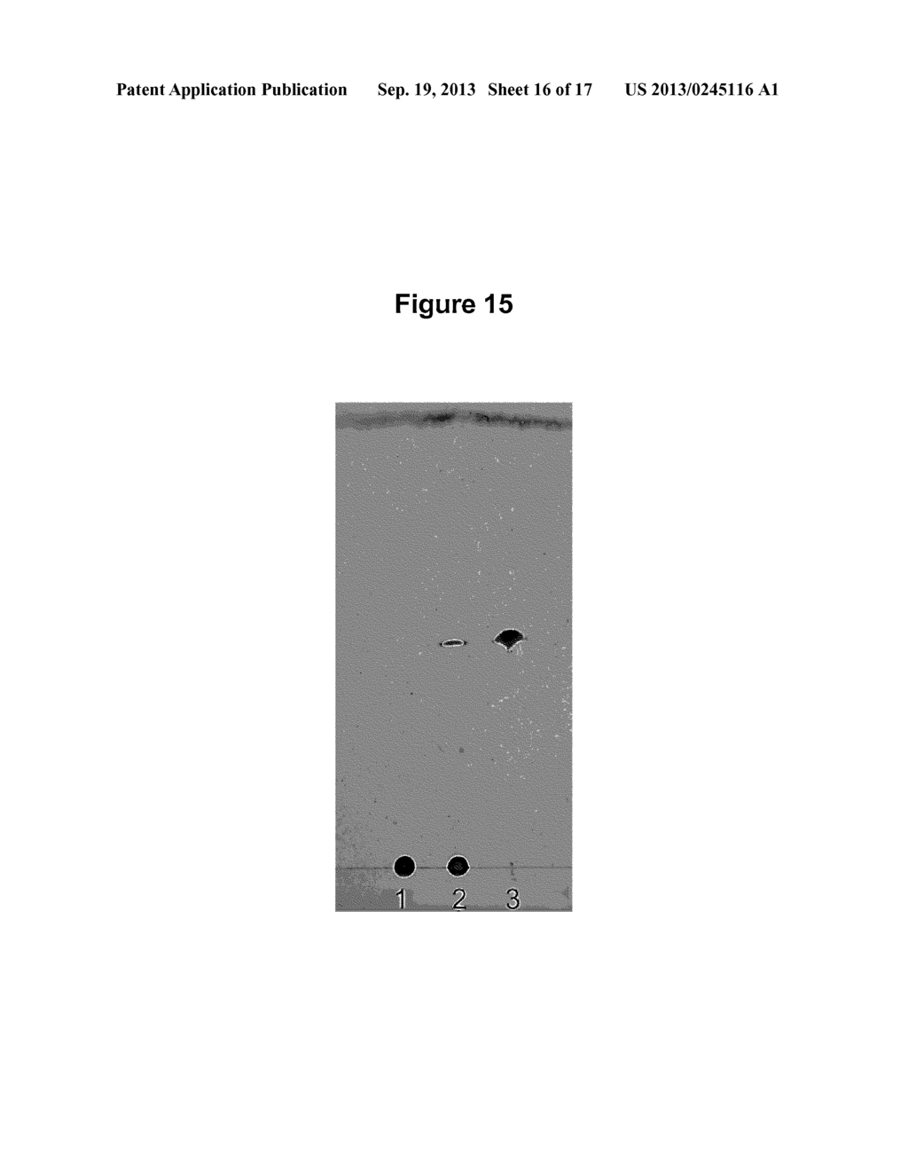 COMPOSITIONS AND METHODS FOR THE DISRUPTION OF MYCOBACTERIUM BIOFILM - diagram, schematic, and image 17