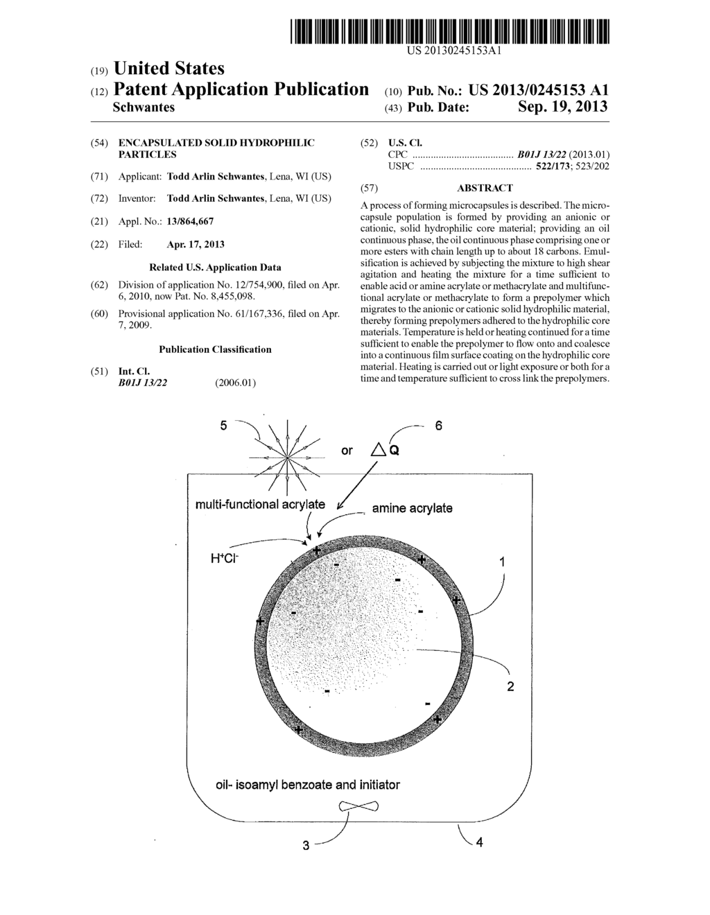 ENCAPSULATED SOLID HYDROPHILIC PARTICLES - diagram, schematic, and image 01