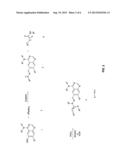 QUINAZOLINE ANALOGS AS RECEPTOR TYROSINE KINASE INHIBITORS diagram and image