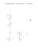 QUINAZOLINE ANALOGS AS RECEPTOR TYROSINE KINASE INHIBITORS diagram and image