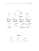 Benzoic Acid, Benzoic Acid Derivatives and Heteroaryl Carboxylic Acid     Conjugates of Hydrocodone, Prodrugs, Methods of Making and Use Thereof diagram and image