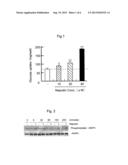 SUGAR METABOLISM IMPROVING COMPOSITION, AND PHARMACEUTICAL PREPARATION     CONTAINING SAID COMPOSITION diagram and image