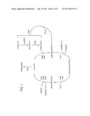 PRODUCTION OF FATTY ACIDS AND DERIVATIVES THEREOF diagram and image