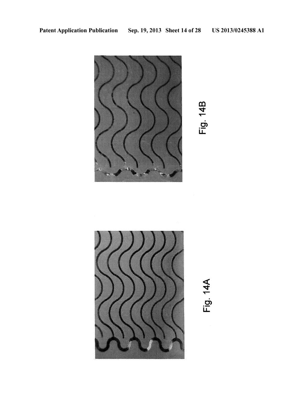 ELECTRONICS FOR DETECTION OF A CONDITION OF TISSUE - diagram, schematic, and image 15