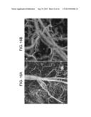 CONFOCAL PHOTOACOUSTIC MICROSCOPY WITH OPTICAL LATERAL RESOLUTION diagram and image