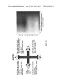 HYPERSPECTRAL IMAGING IN DIABETES AND PERIPHERAL VASCULAR DISEASE diagram and image