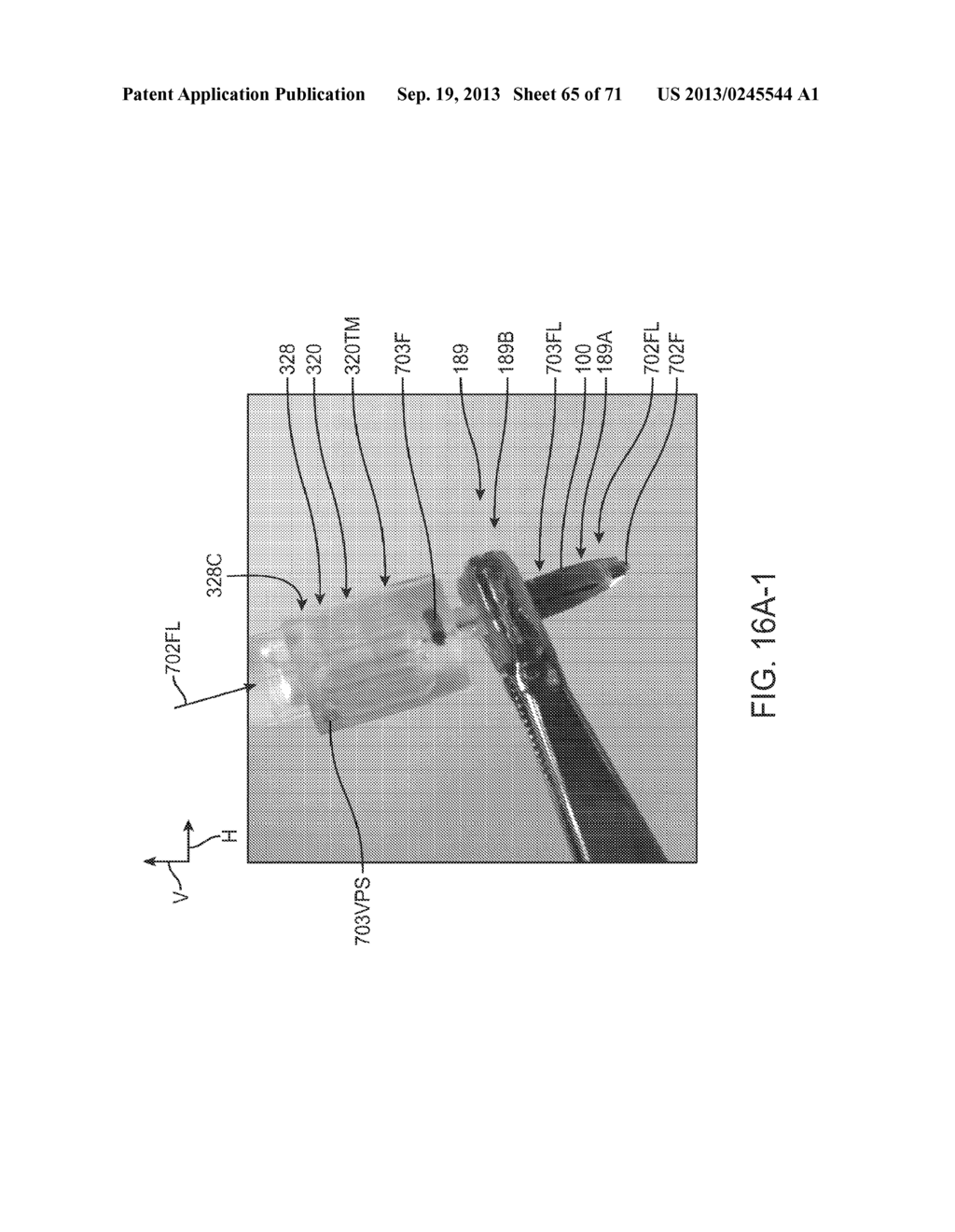 Injector Apparatus and Method for Drug Delivery - diagram, schematic, and image 66